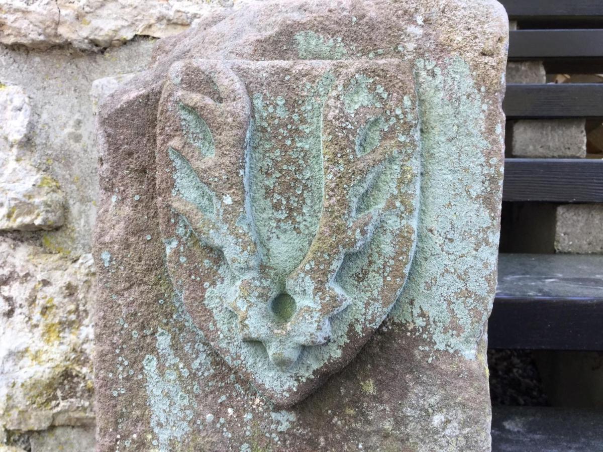 Landhaus Camillas Hoehe Mirbach المظهر الخارجي الصورة